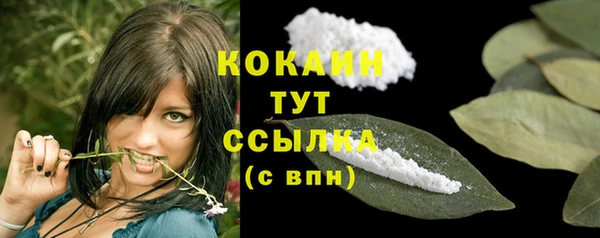 стаф Балахна