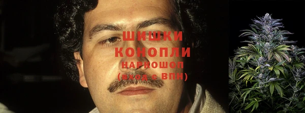стаф Балахна