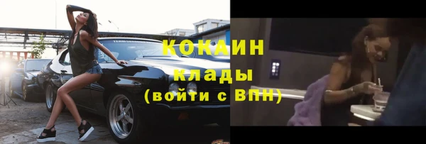 стаф Балахна