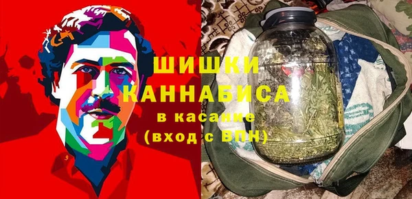 стаф Балахна