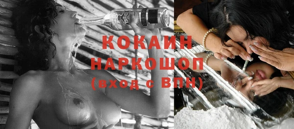 стаф Балахна
